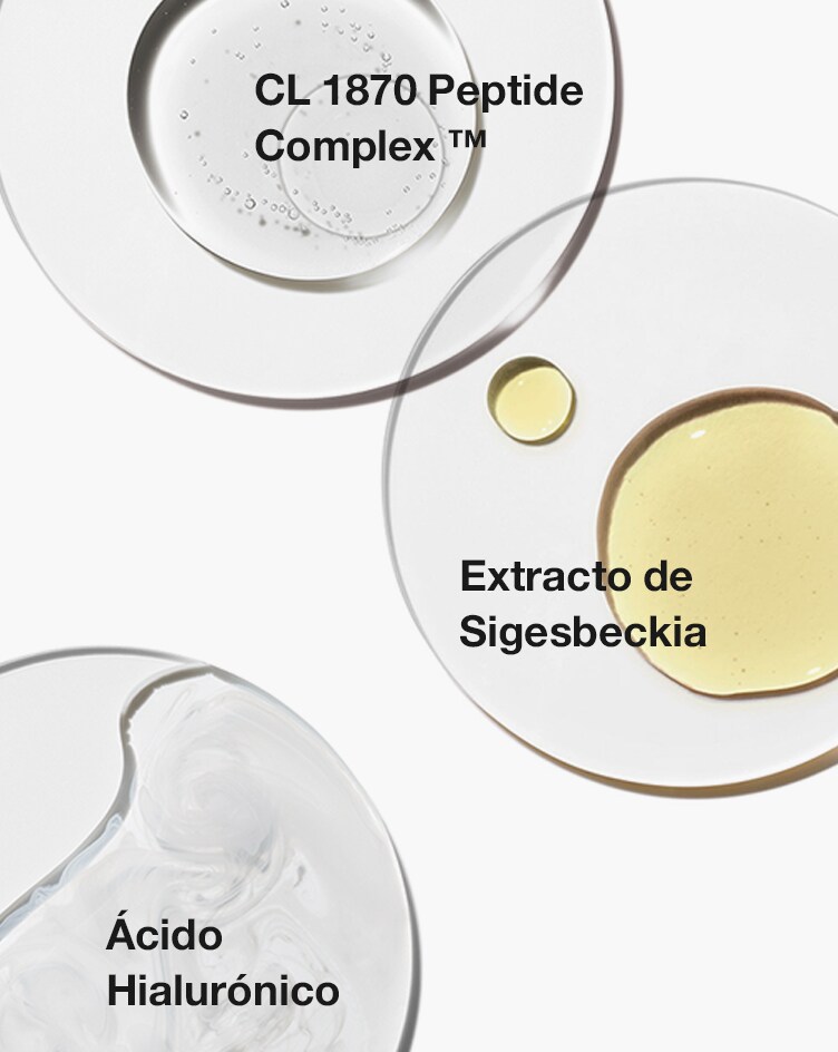 Sigesbeckia Extract