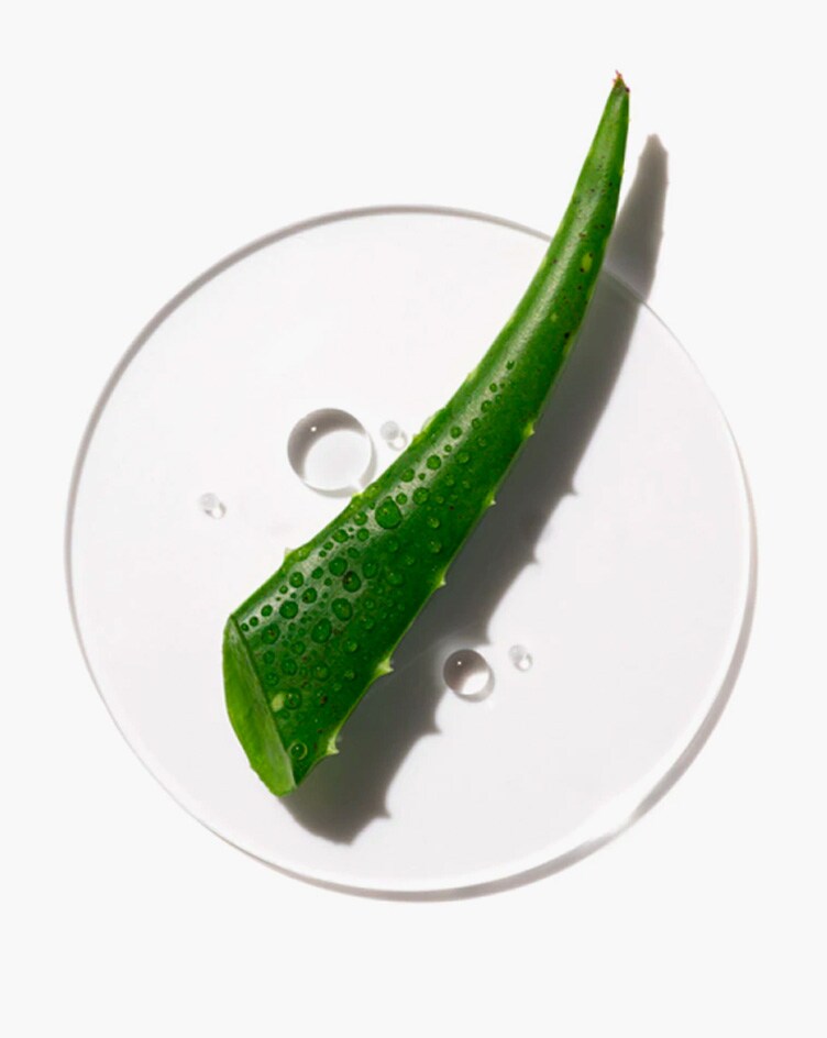 Descubre los ingredientes clave.